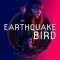 Earthquake Bird