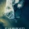 Embryo | Embrión