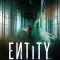 Entity