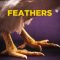 Feathers | ريش