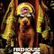 Firehouse Dog