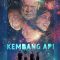 Fireworks | Kembang Api