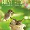 First Flight A Mother Hummingbird’s Story