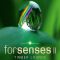 Forsenses II: Timber Lounge