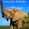 Gorongosa: Paradise Reborn