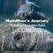 Hamilton’s Journey – Manatees in a New Light