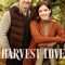 Harvest Love