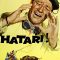 Hatari!