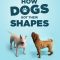 How Dogs Got Their Shapes