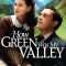 How Green Was My Valley