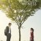 Innocent Witness | 증인