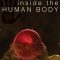 Inside the Human Body