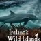 Ireland’s Wild Islands