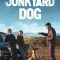 Junkyard Dog | Chien de la casse