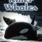 Killer Whales: Up Close and Personal