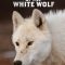 Kingdom of the White Wolf