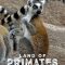 Land of Primates