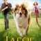 Lassie Come Home | Lassie – Eine abenteuerliche Reise