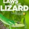 Laws of the Lizard