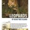 Leopards of Dead Tree Island