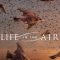 Life in the Air