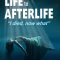 Life to AfterLife: I Died, Now What