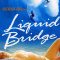 Liquid Bridge