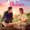 Love in Bloom