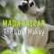 Madagascar: The Lost Makay