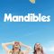 Mandibles | Mandibules