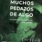 Many Pieces of Something | Muchos pedazos de algo