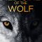 Medicine of the Wolf