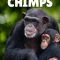 Meet the Chimps