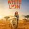 Mia and the White Lion | Mia et le lion blanc