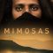 Mimosas | ميموزا