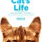 A Cat’s Life | Mon chat et moi, la grande aventure de Rroû