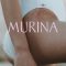 Murina