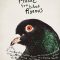 Music for Black Pigeons