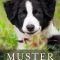 Muster Dogs