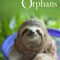 Nature’s Miracle Orphans