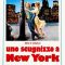 Neapolitan Boy in New York | Uno scugnizzo a New York