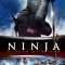 Ninja: Shadow of a Tear