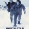 North Star