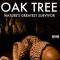 Oak Tree: Nature’s Greatest Survivor