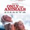 Only the Animals | Seules les Bêtes