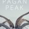 Pagan Peak | Der Pass