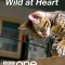 Pets: Wild at Heart