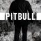 Pitbull: Exodus | Pitbull