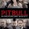 Pitbull: Tough Women | Pitbull. Niebezpieczne kobiety