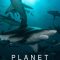 Planet Shark